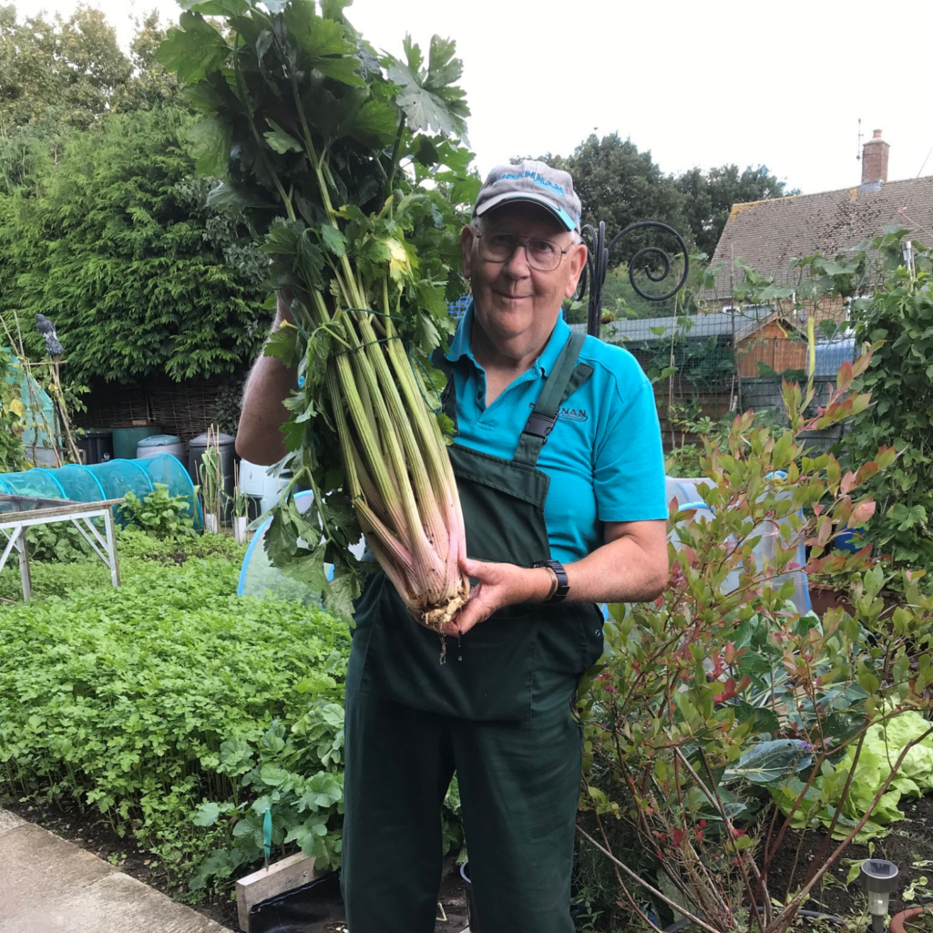 An elderly man standing in a garden, wearing overalls, holding a very large bunch of celery.