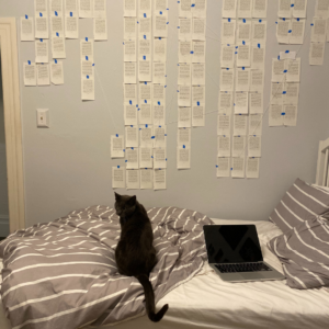 A gray cat sitting on an unmade bed with a striped gray comforter, in front of a wall covered with papers organized In columns, with string drawing lines across the pages.