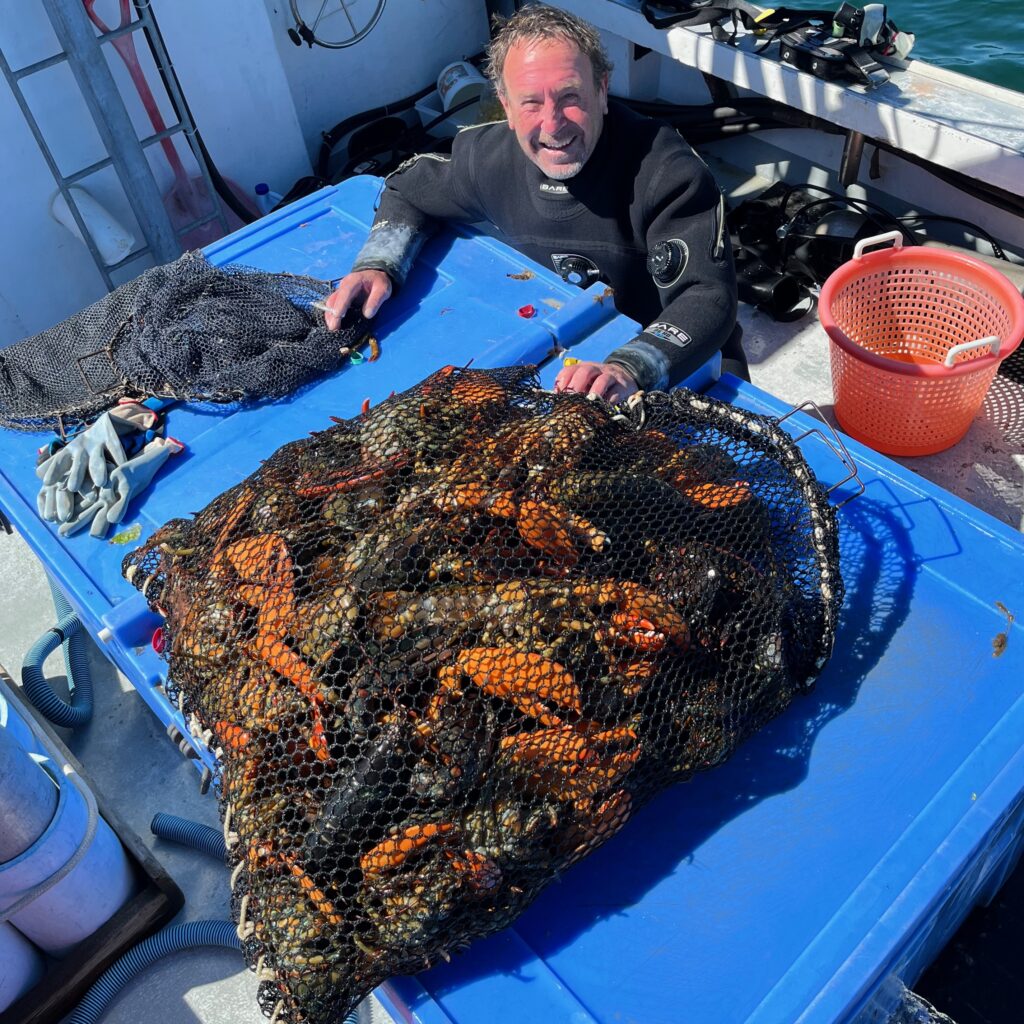 Michael Packard with a large bag of lobster.