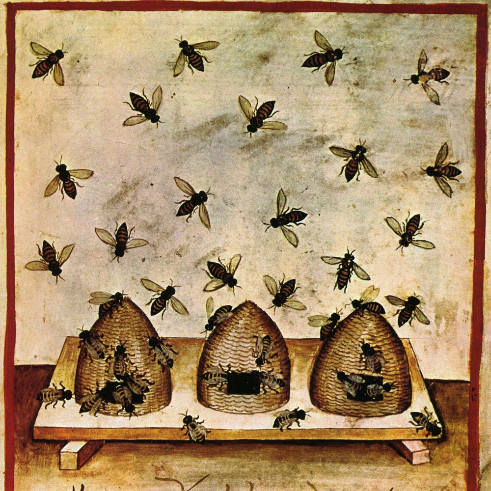 A faded illustration in earth tones of three beehives -- likely woven baskets, or skeps, positioned in a row on a slightly elevated wooden slab. Large bees are depicted crawling in and out of small rectangular entrances to the hives, and they also spread evenly across the area above the hives, filling the sky.