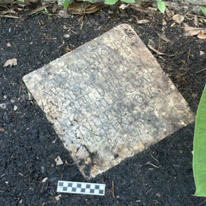 An old marble gravestone with an inscription in Latin lying in the dirt under some plants and bushes.