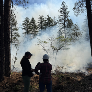 In a photo, a woman in a hard hat faces a forest. The ground is burning and smoke rises, partially obscuring the trees. Phoebe Judge stands next to the woman, facing her with a microphone. Their silhouettes are dark against the white smoke.
