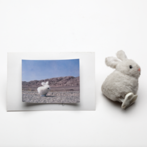 photograph of a wind-up bunny toy lying next to a photograph of the toy in a desert setting